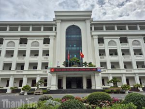 Full video người đàn ông định về với các cụ